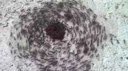 400x225
