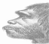 230x207