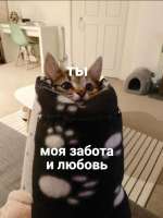 500x666