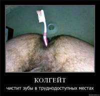 500x482