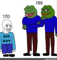 602x624