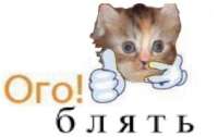 1080x681