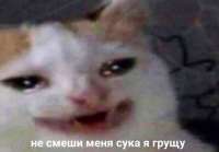 500x349