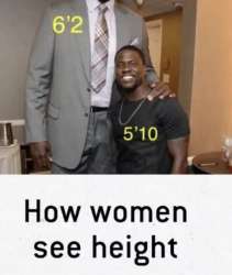 422x500