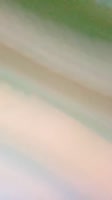 406x720
