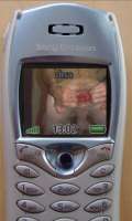 289x480