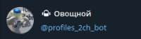 238x67