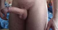 504x268