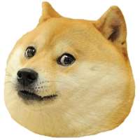 900x900