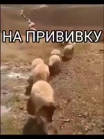 320x426