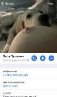 640x1091
