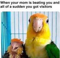 720x709