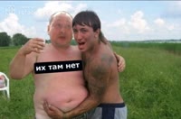 720x478