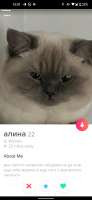 720x1560