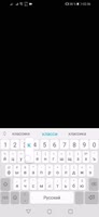 590x1280