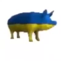 432x432
