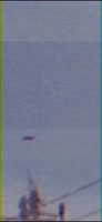 590x1280