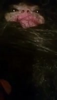 208x360