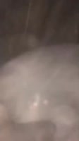 478x848