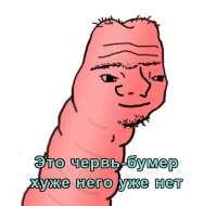 528x503