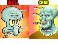 800x600