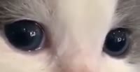 528x272