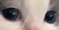 528x272