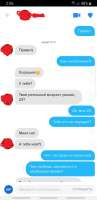 623x1280
