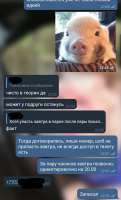 720x1189