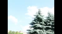 640x360