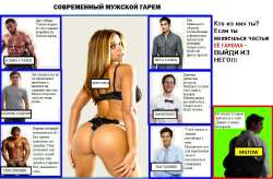 1200x790