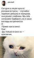 700x1188