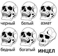 500x483