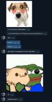 453x875