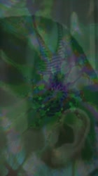 450x800