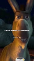 406x720