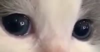 528x272