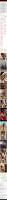 1080x30767