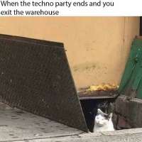 960x960