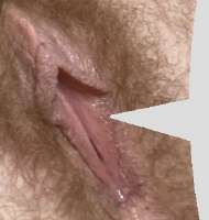 298x313