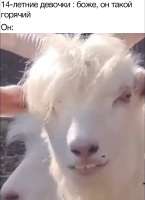 930x1280