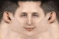 1183x795