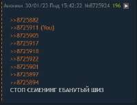 339x262