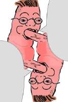 228x338