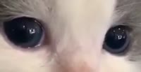 528x272