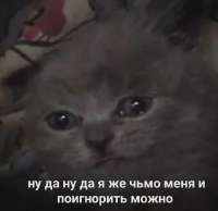 724x705