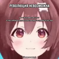 720x720