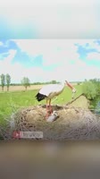 360x640