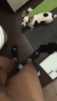 406x720