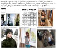 530x458